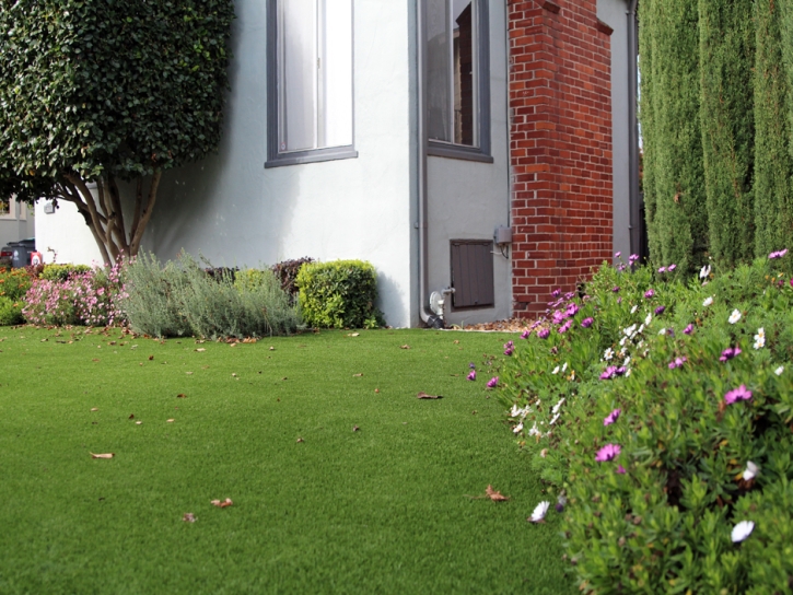 Synthetic Grass Cost Elkton, Michigan Landscaping Business, Front Yard Design