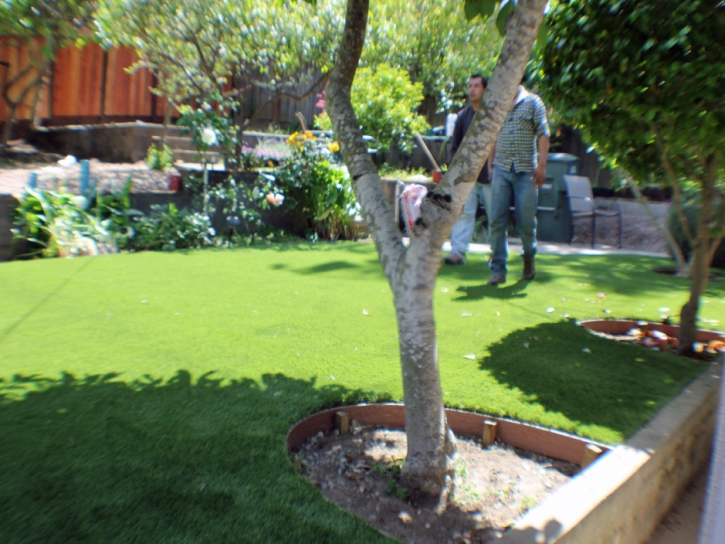 Synthetic Grass Cost Essexville, Michigan Landscape Rock, Backyards