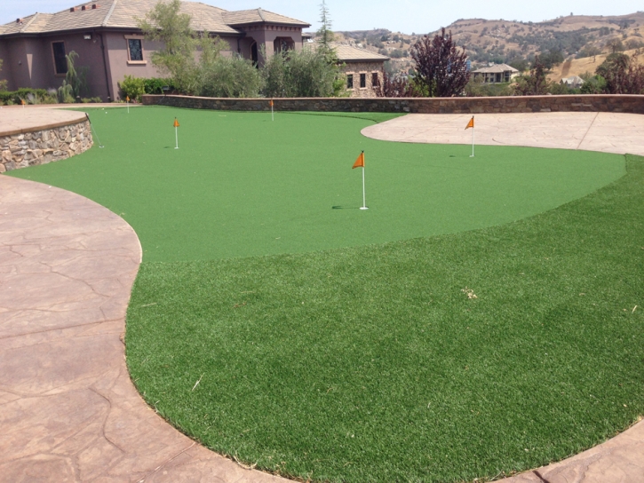 Synthetic Grass Cost Gagetown, Michigan Putting Green Carpet