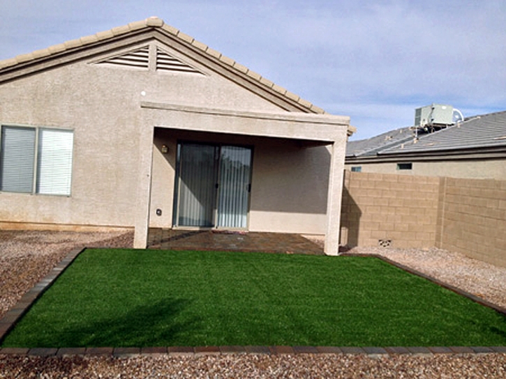 Synthetic Grass Cost Manitou Beach-Devils Lake, Michigan Fake Grass For Dogs, Backyard Designs