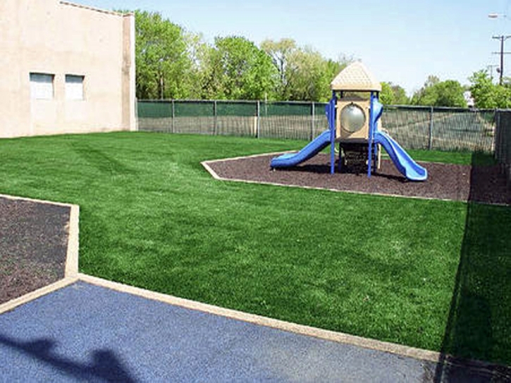 Synthetic Grass Cost Otsego, Michigan Indoor Playground, Commercial Landscape