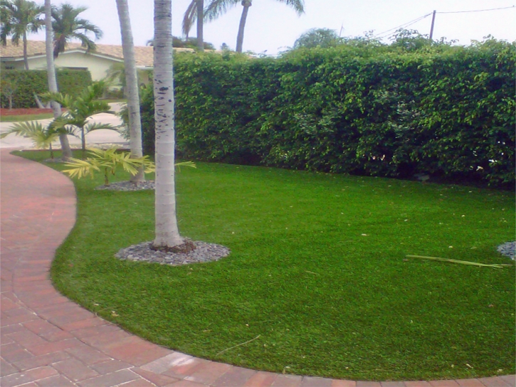 Synthetic Grass Cost Spring Arbor, Michigan Gardeners, Front Yard Ideas