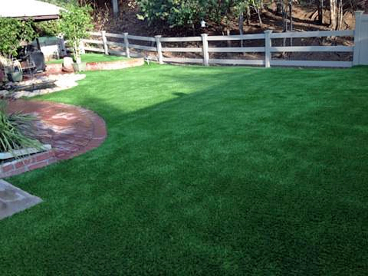 Synthetic Grass Dexter, Michigan Pet Grass, Backyard