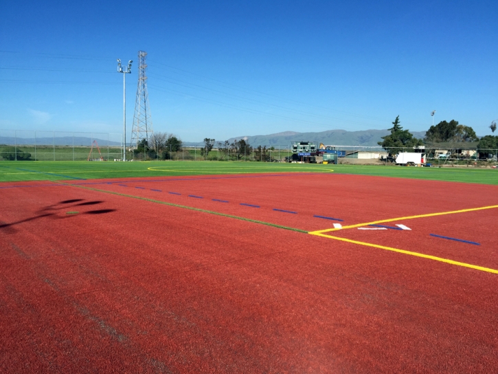 Synthetic Grass Dimondale, Michigan Bocce Ball Court