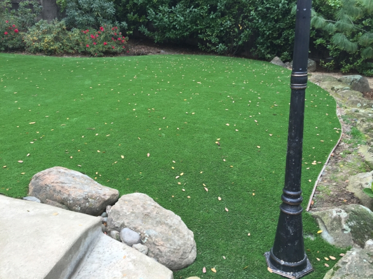 Synthetic Grass Fowler, Michigan Landscape Design, Backyard Landscape Ideas