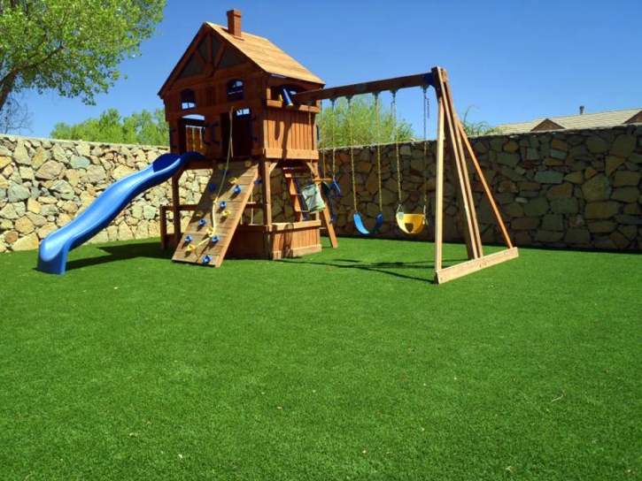 Synthetic Grass Lyons, Michigan Garden Ideas, Backyard Landscaping