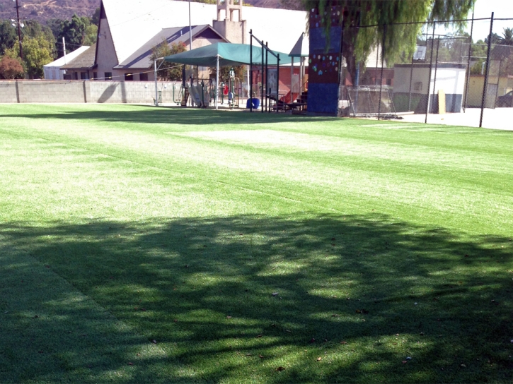 Synthetic Grass Southfield, Michigan Roof Top, Parks