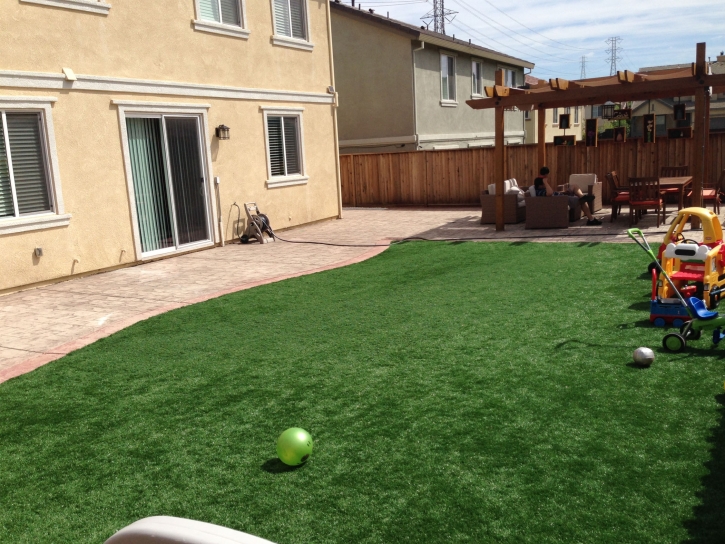 Synthetic Turf Hastings, Michigan Indoor Playground, Small Backyard Ideas