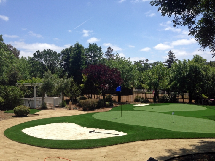 Synthetic Turf Lapeer, Michigan City Landscape, Front Yard Ideas