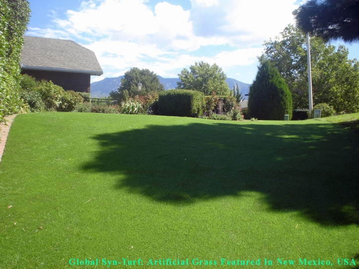 Synthetic Turf Melvindale, Michigan Landscape Ideas, Backyard Landscaping Ideas