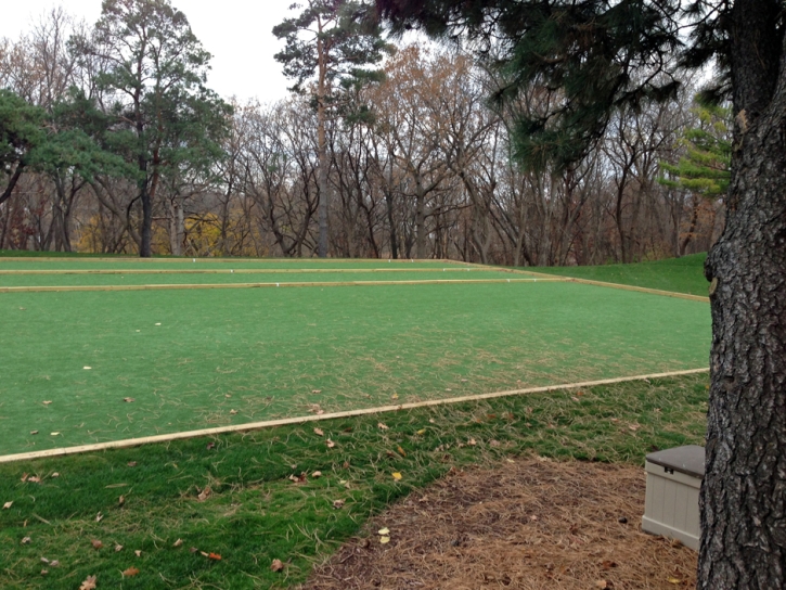 Synthetic Turf Romulus, Michigan Lawn And Garden