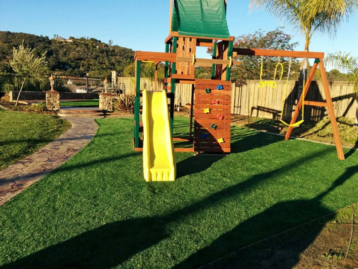 Synthetic Turf Taylor, Michigan Playground, Backyard Designs