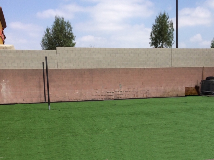 Synthetic Turf Union City, Michigan Design Ideas