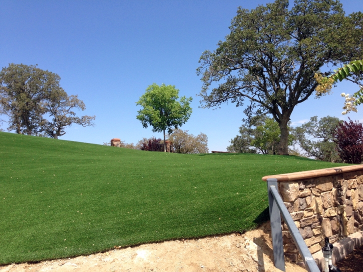 Turf Grass Brooklyn, Michigan Rooftop, Small Front Yard Landscaping