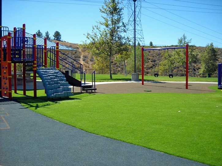 Turf Grass Milford, Michigan Indoor Playground, Recreational Areas