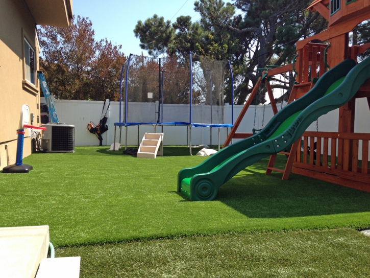 Turf Grass Millington, Michigan Upper Playground, Small Backyard Ideas