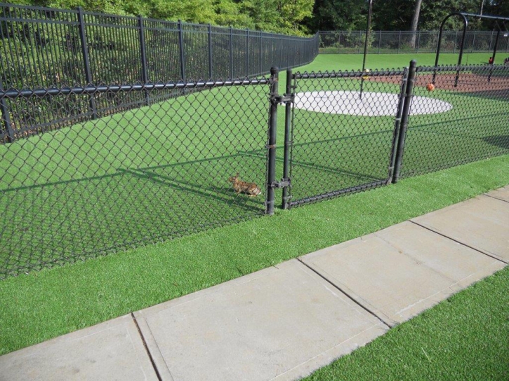 Turf Grass Morenci, Michigan Backyard Playground, Parks